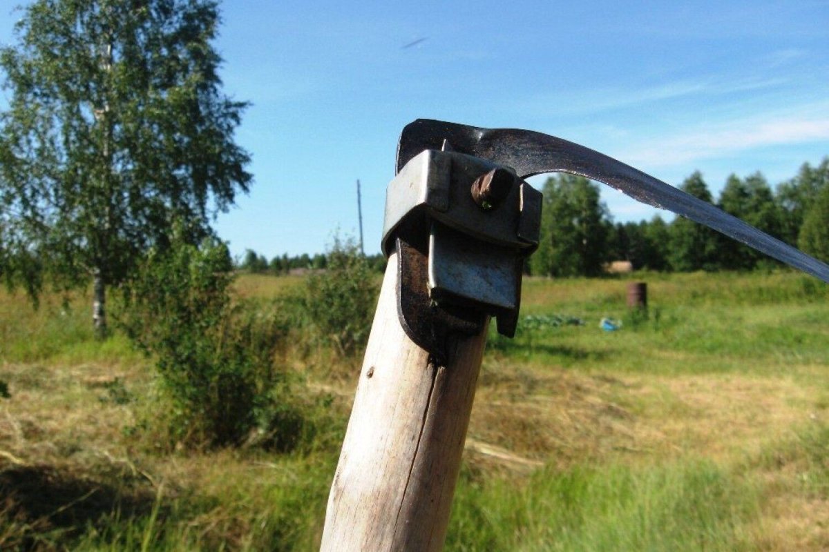 Коса косить траву