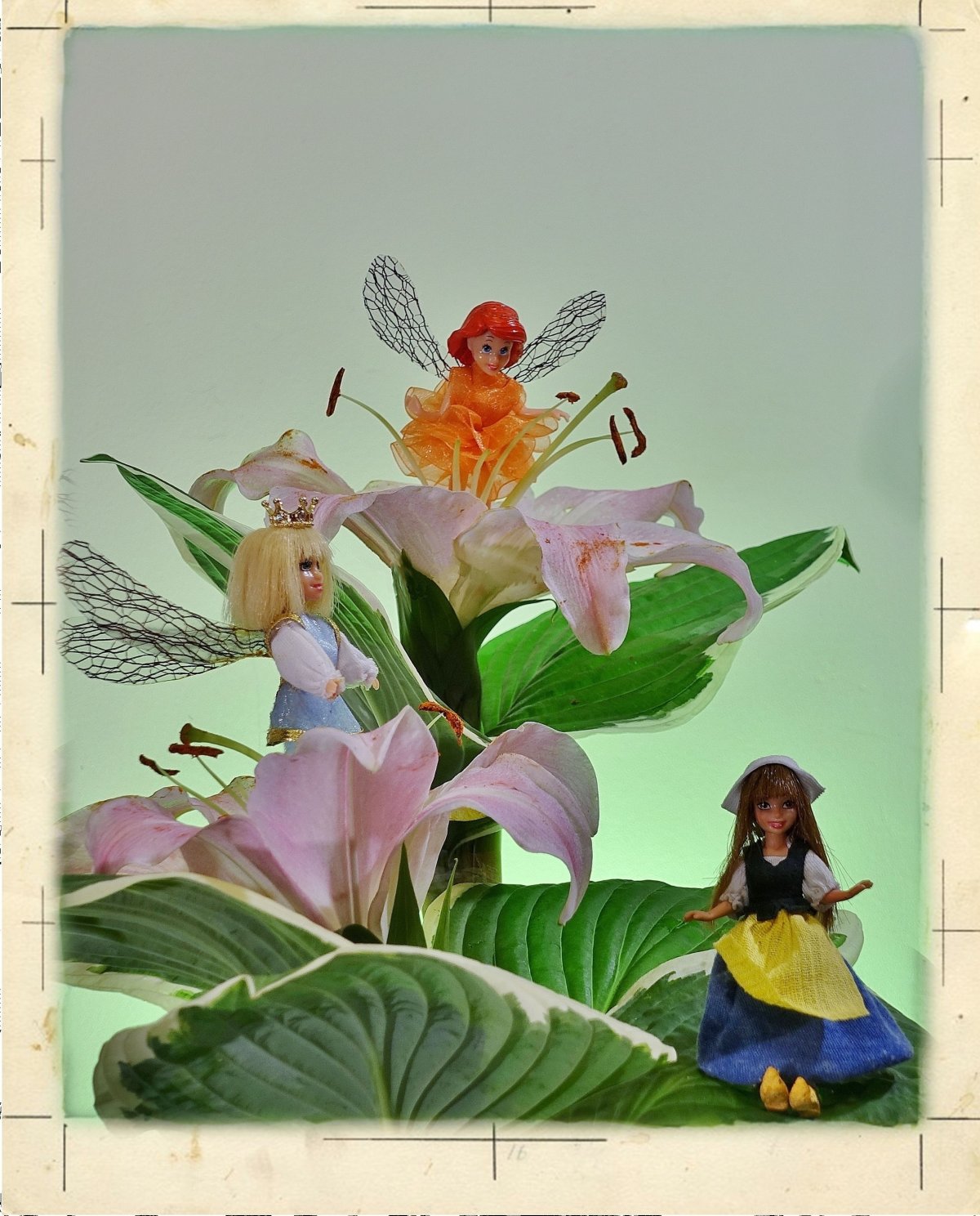 Дюймовочка (1664 года)