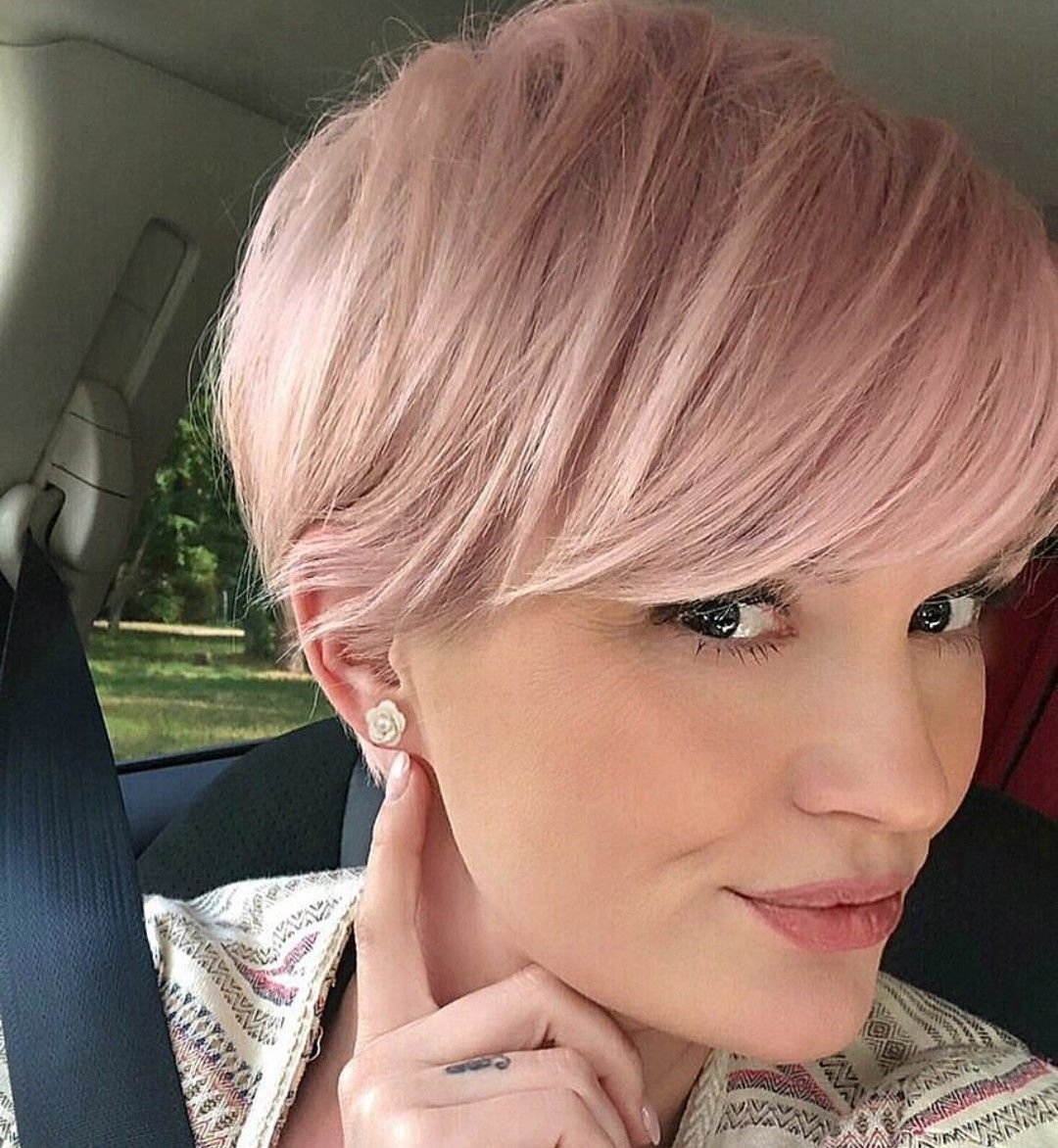 Пикси Боб розовый блонд