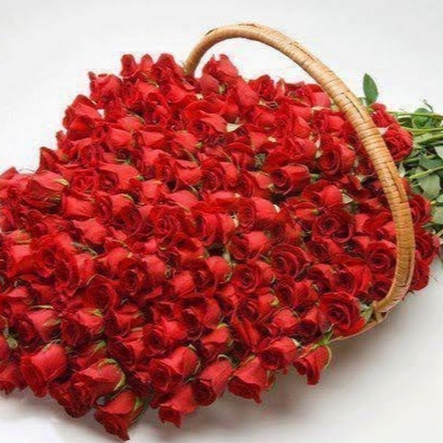 Шикарные цветы для подруги