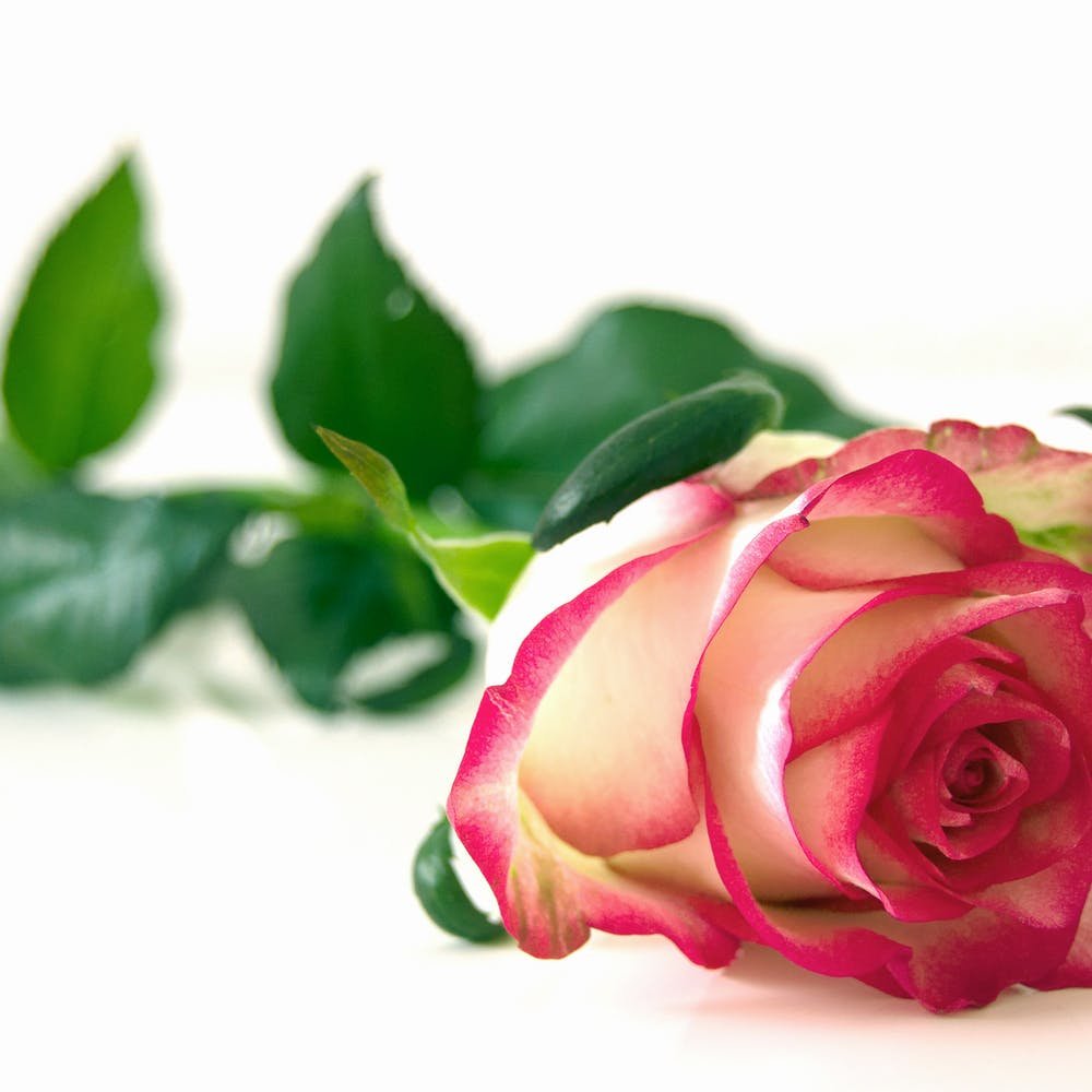 Красивой женщине открытка комплимент