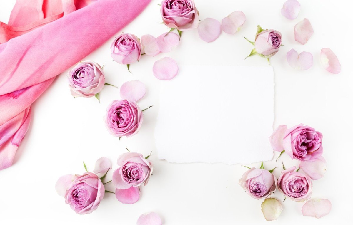 Нежные цветы на белом фоне