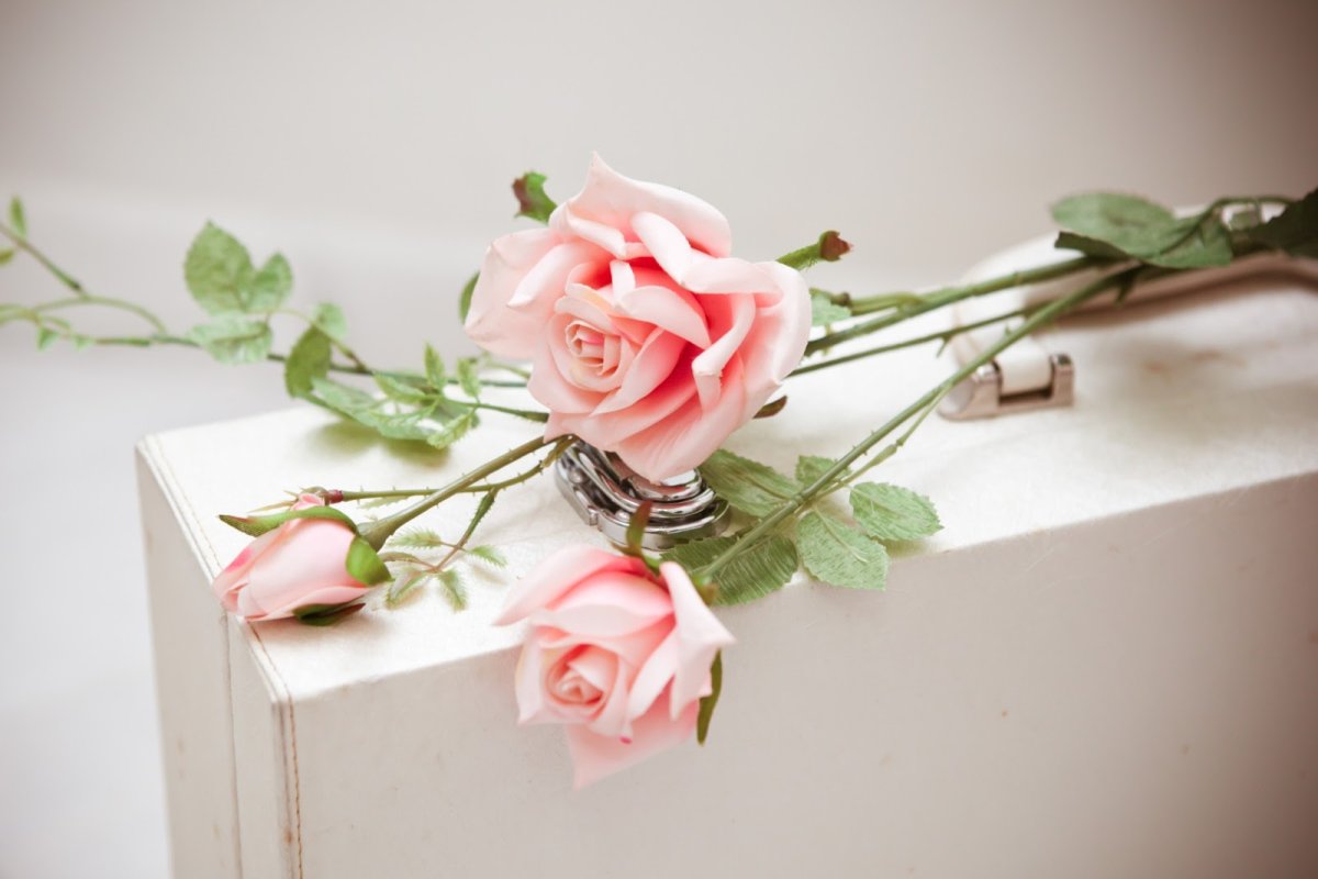 Комплимент шикарная элегантная