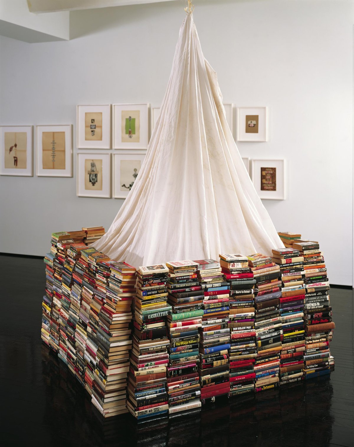 Инсталляция из книг в библиотеке