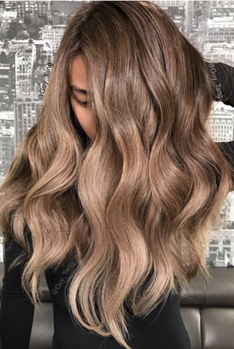 Гай танг колорист