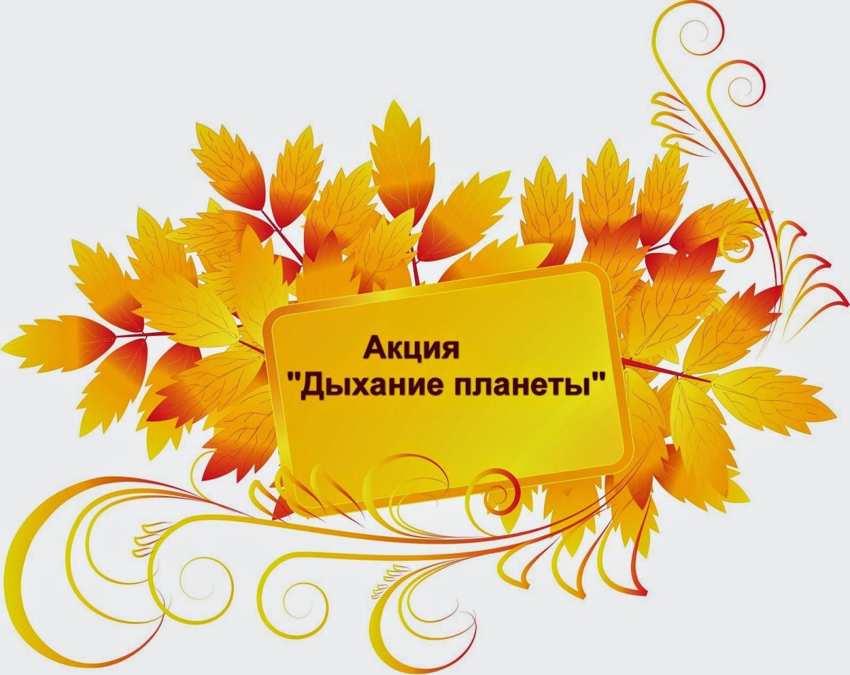 С новым учебным годом