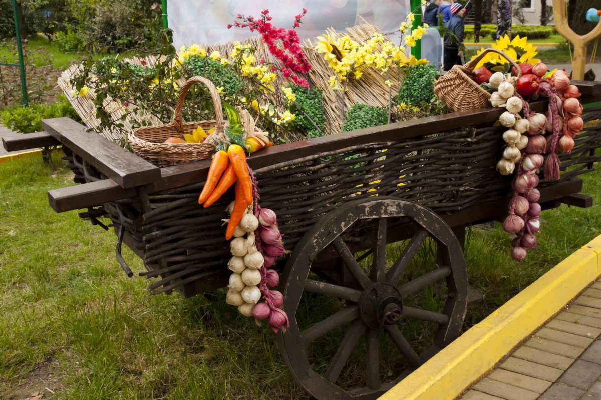 Телега с овощами