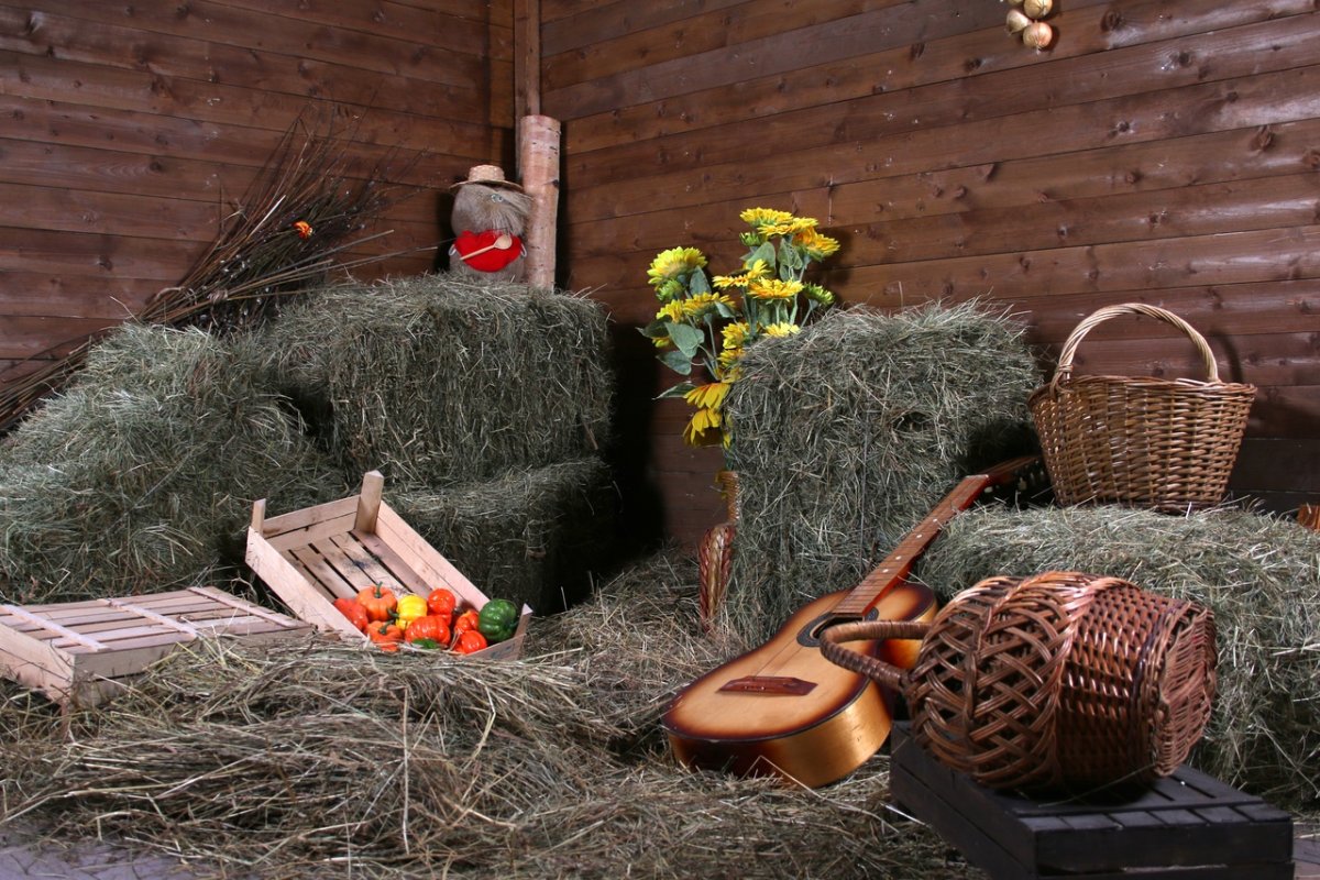 Сарай с сеном