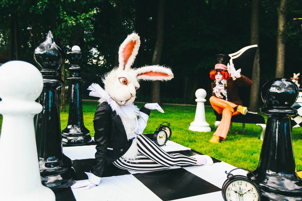 Фотозона шахматы