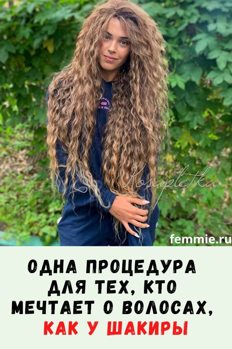 Мерида афролоконы