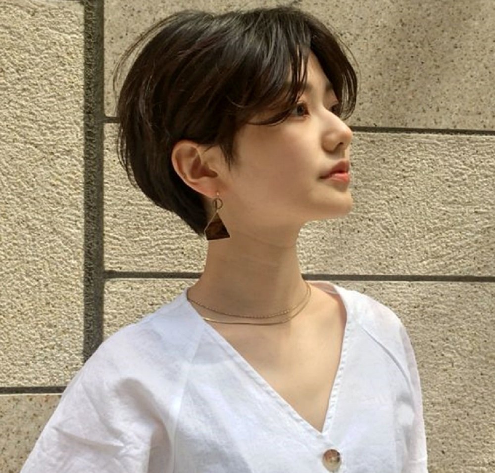 Pixie Bob стрижка Корея