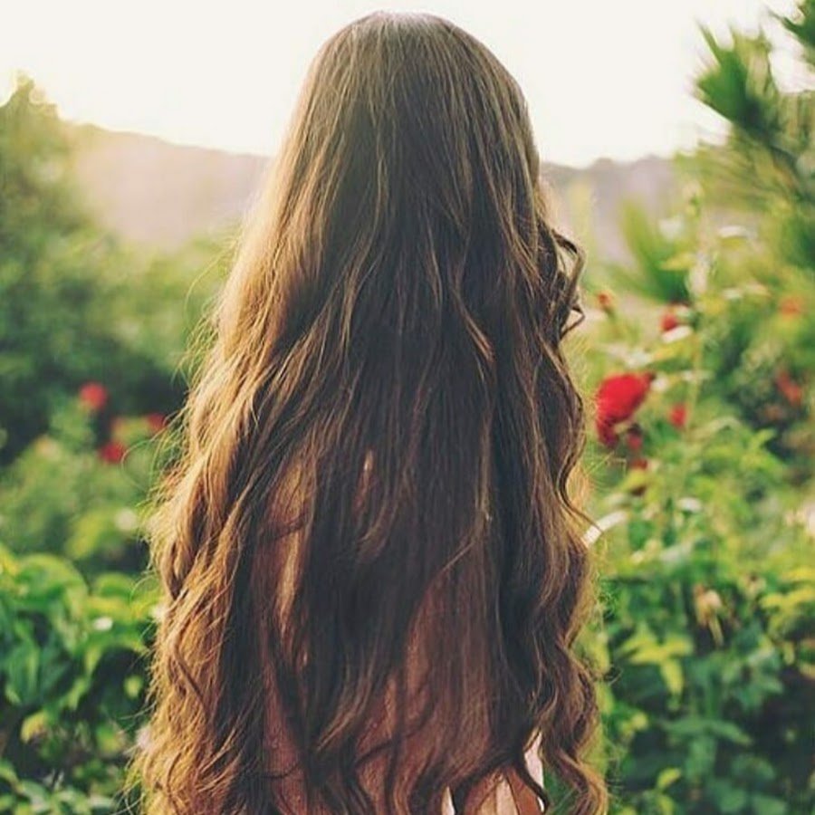 Красивые длинные волосы со спины