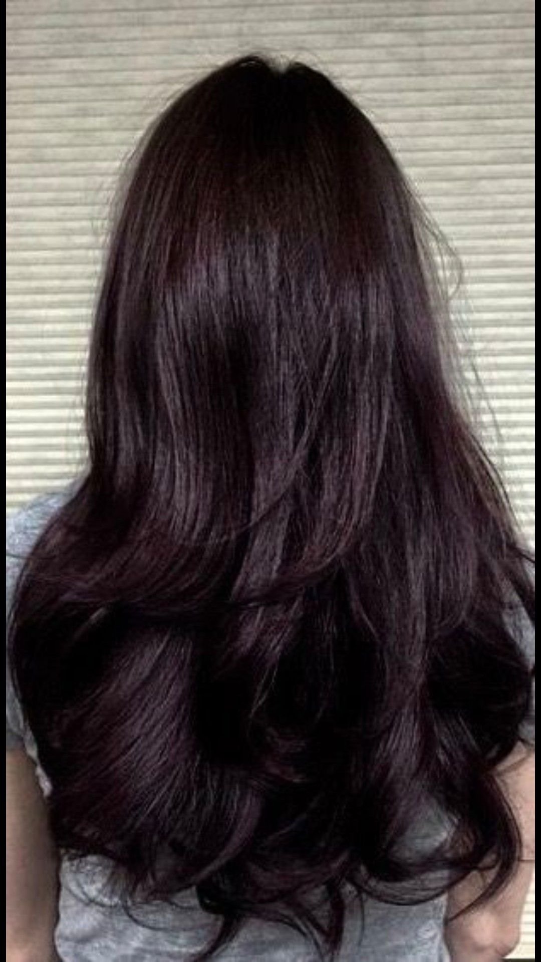 Тёмный каштан цвет с фиолетовым отливом