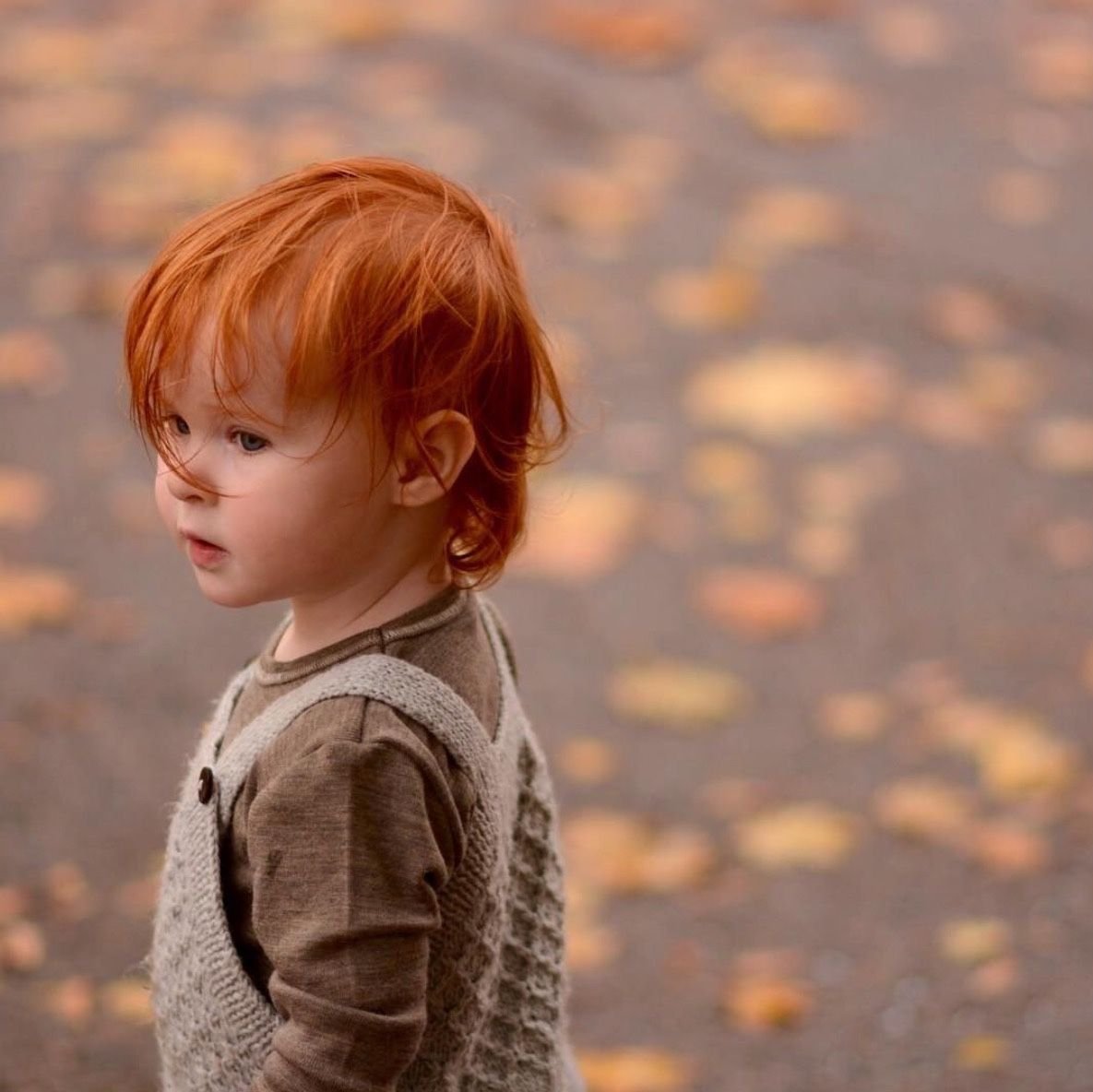 Малыш с рыжими волосами