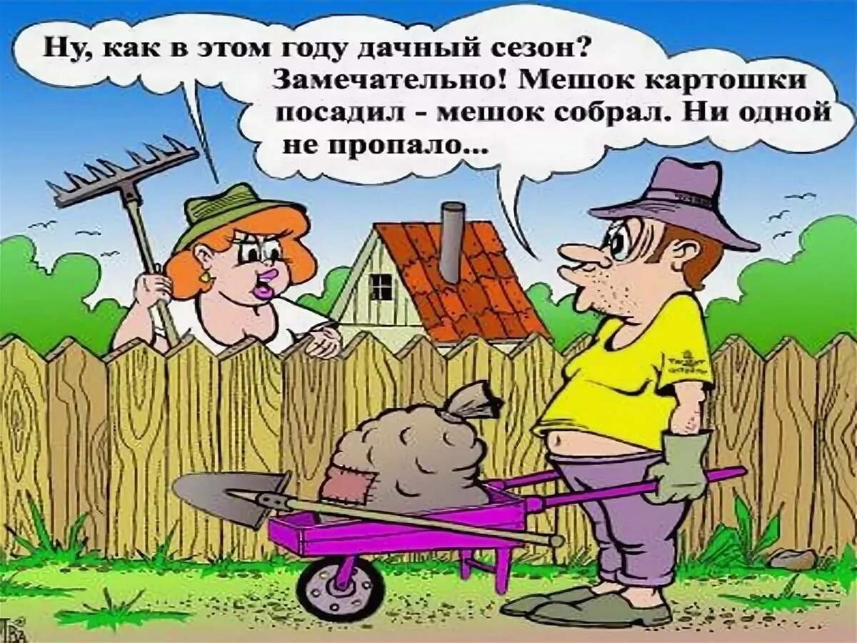 Шутки про дачу