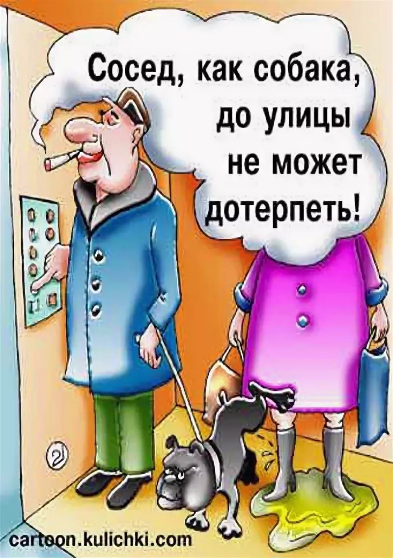 Смешные шутки про соседей