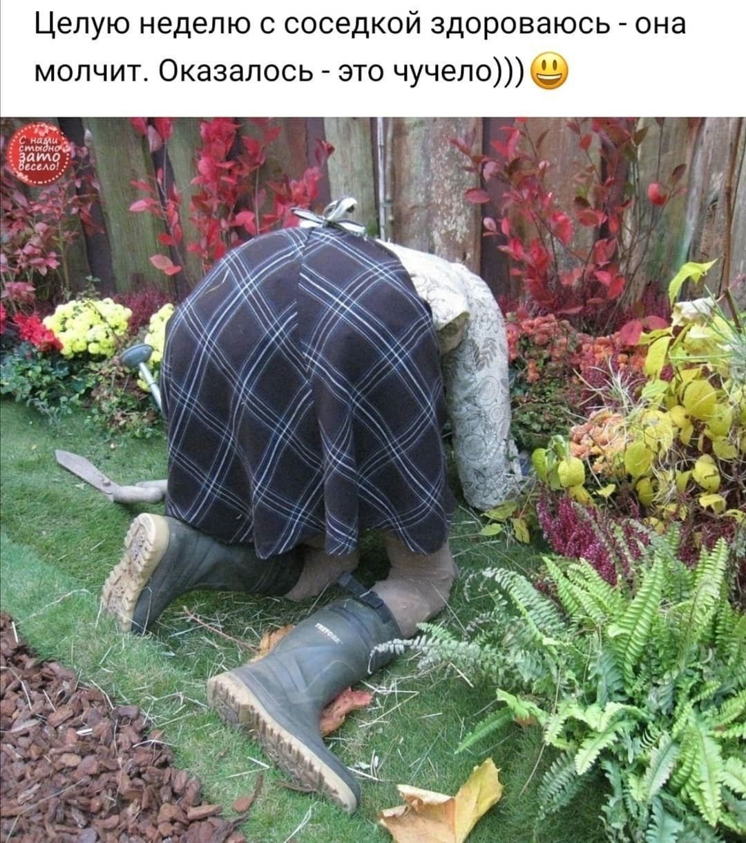 Шутки про дачу