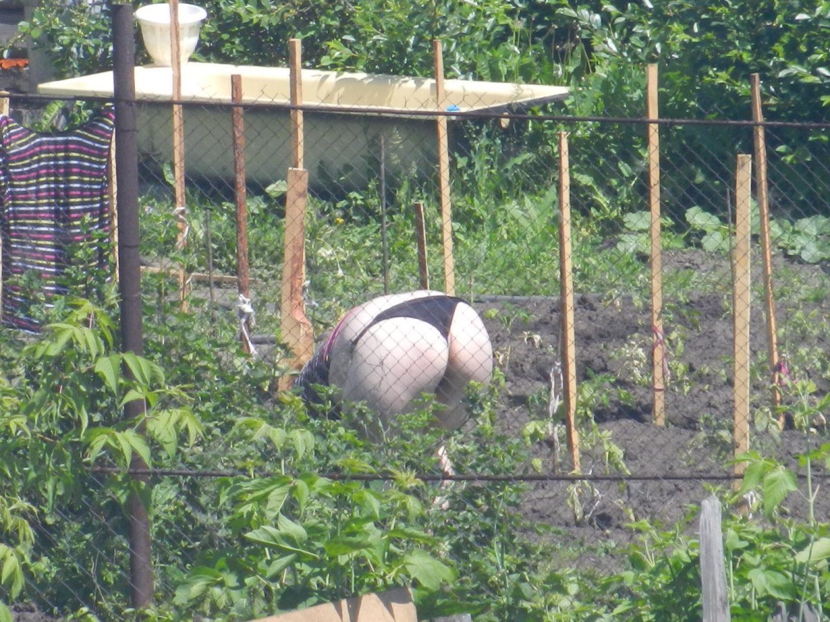 Соседка по даче