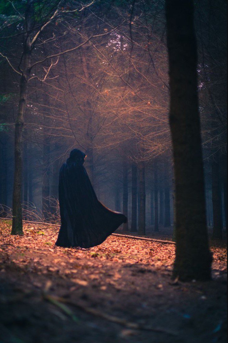 Ведьма в лесу