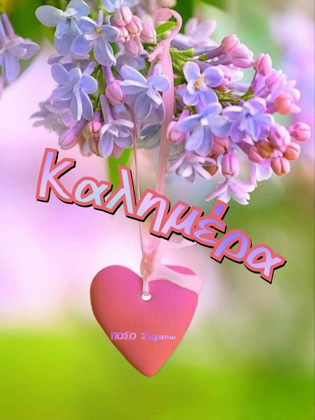 Летний день хорошего дня