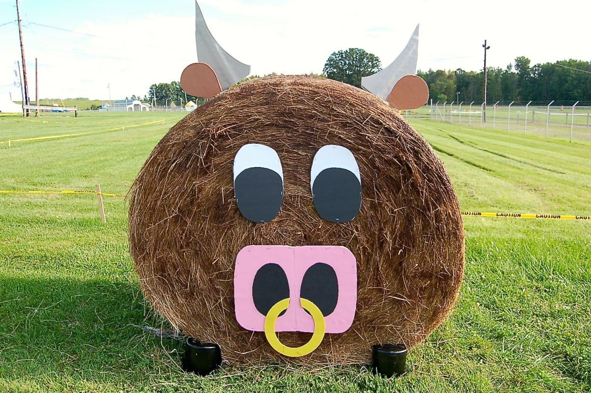 Свинья из сена