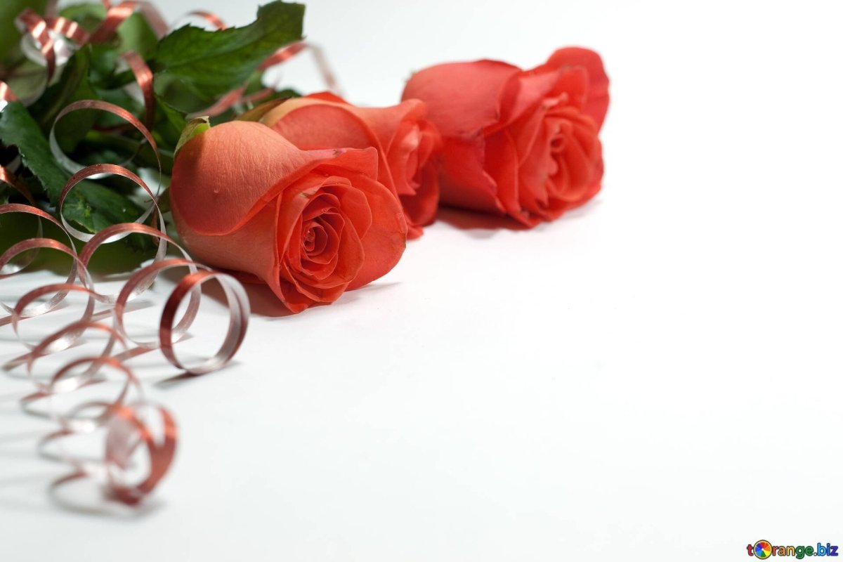 С днём рождения Ольга Вдладимировна