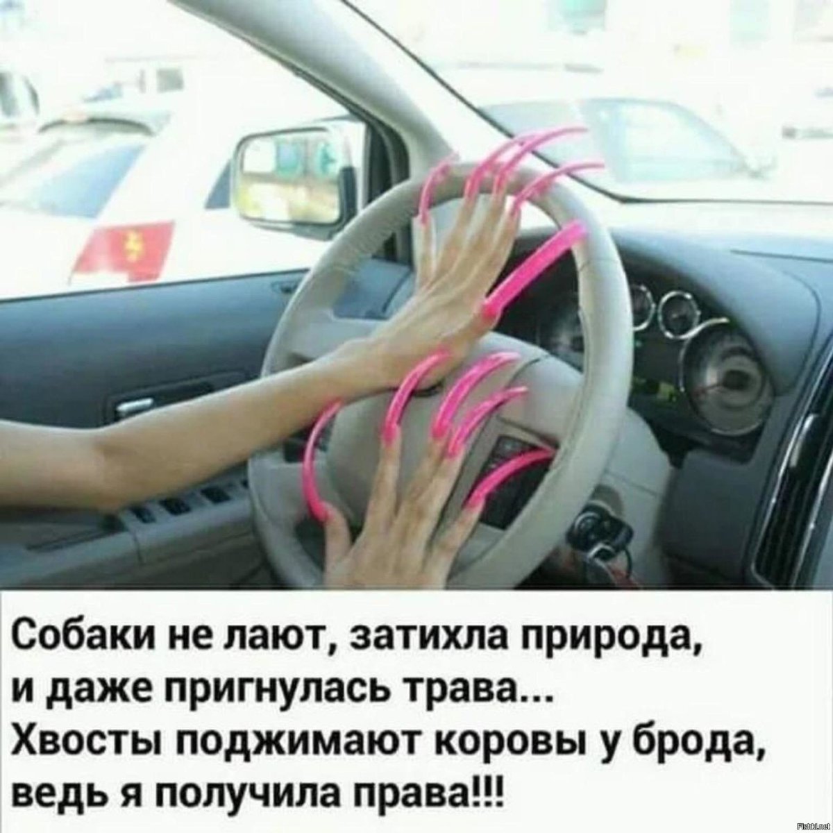 Шутки про вождение автомобиля женщиной