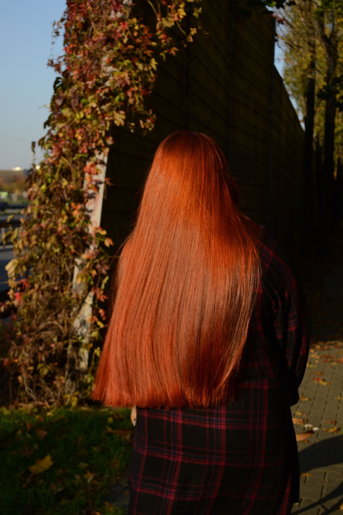 Рыжие волосы со спины