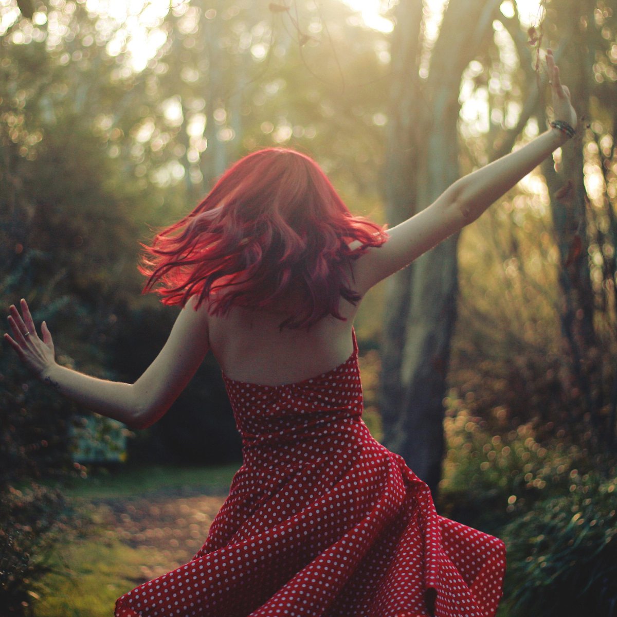 Рыжая красная со спины