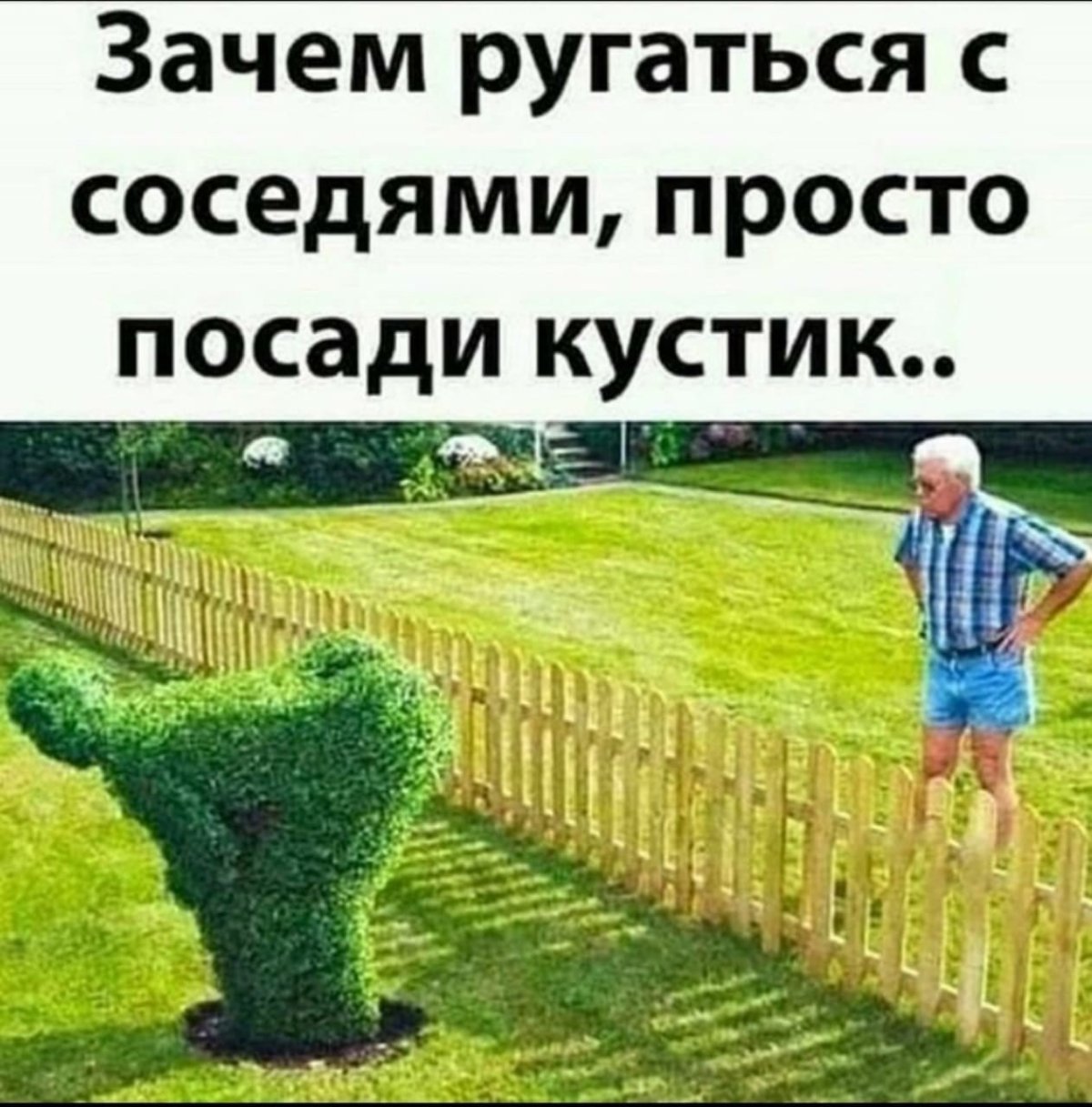 Шутки про соседей по даче