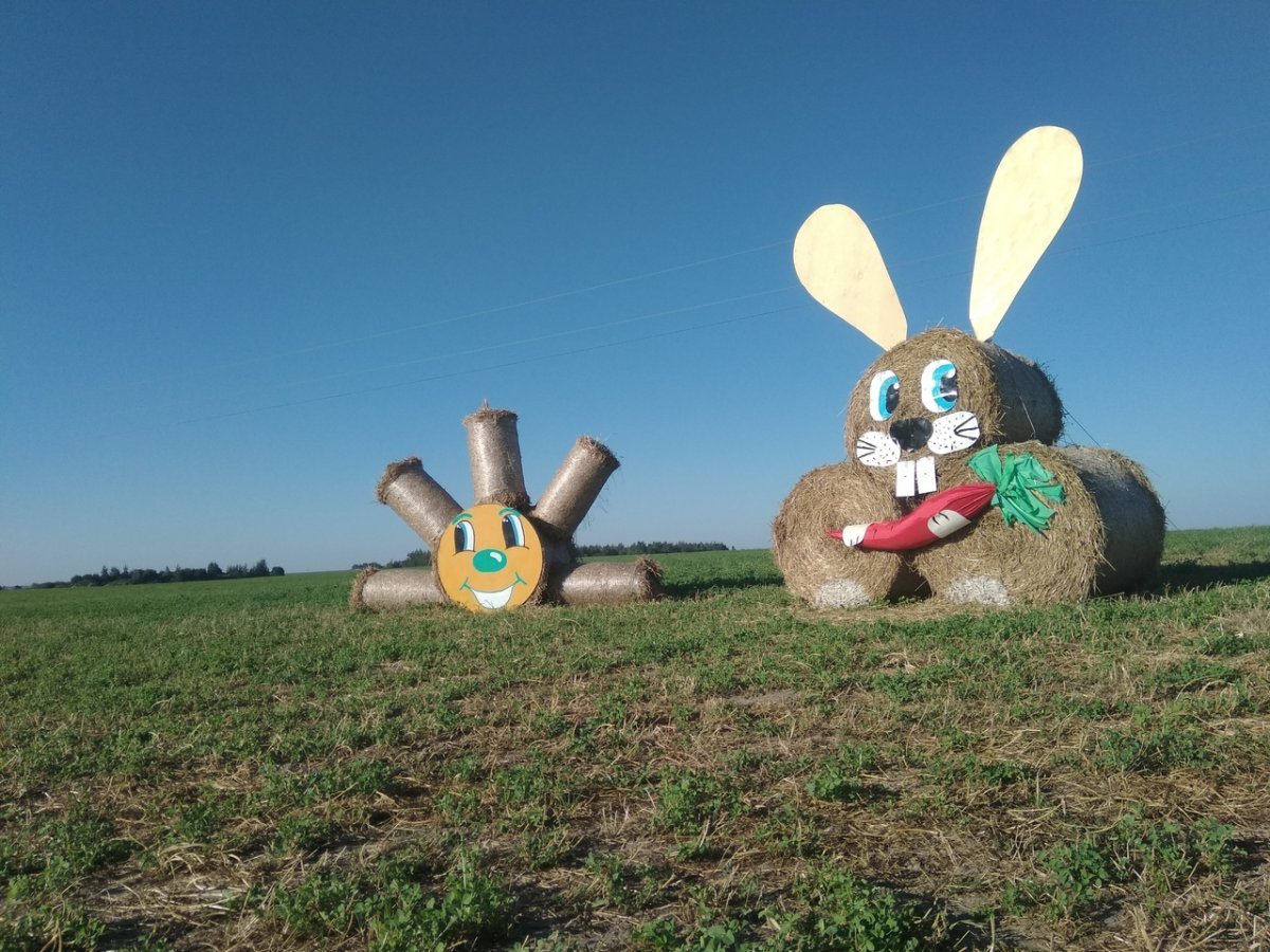 Из рулонов соломы